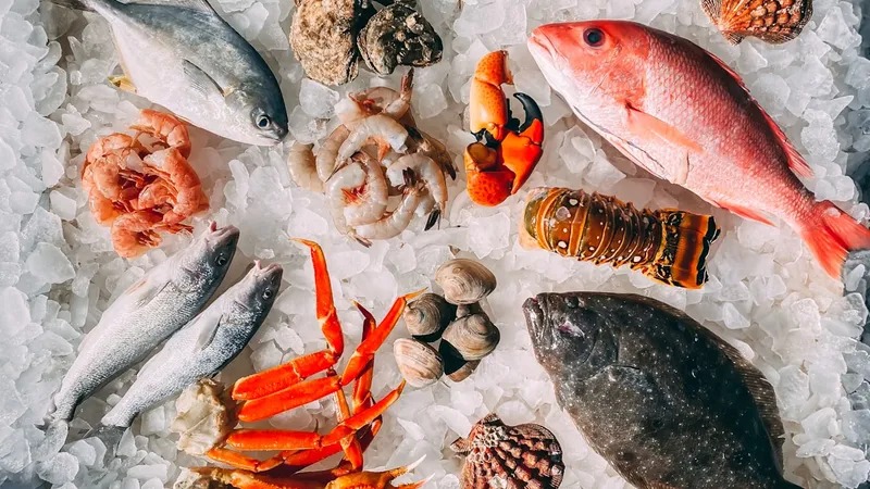 Best seafood restaurants in Prosper TX - Fish City Grill